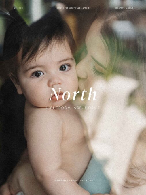 North Presets + Brushes