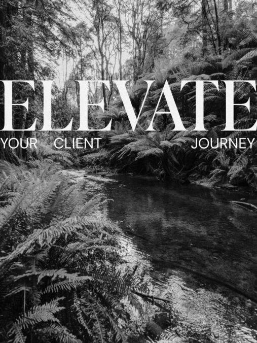 Elevate: Your Client Journey